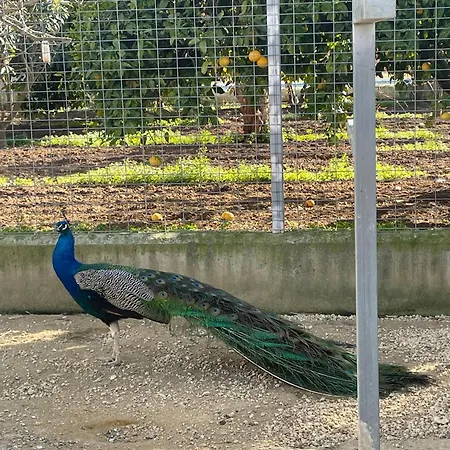 La Tacita - Jazmin Kır Evi Conil De La Frontera