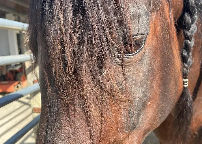 Kır Evi La Tacita - Jazmin *