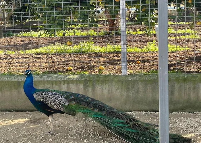 La Tacita - Jazmín Casa de Campo Conil De La Frontera